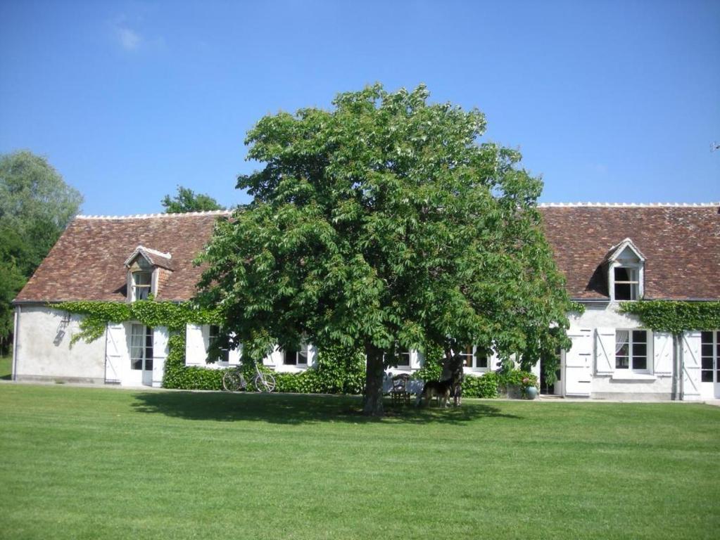 Menetou-sur-Nahon La Touche Bed & Breakfast エクステリア 写真